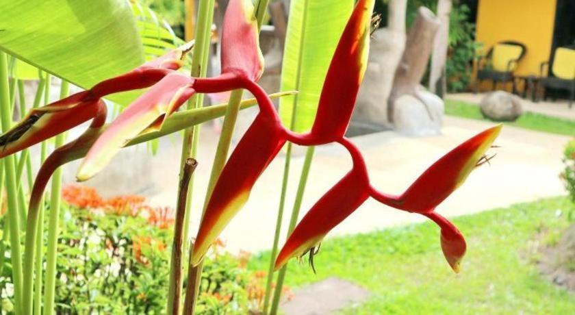Kamala Tropical Garden Hotel Zewnętrze zdjęcie